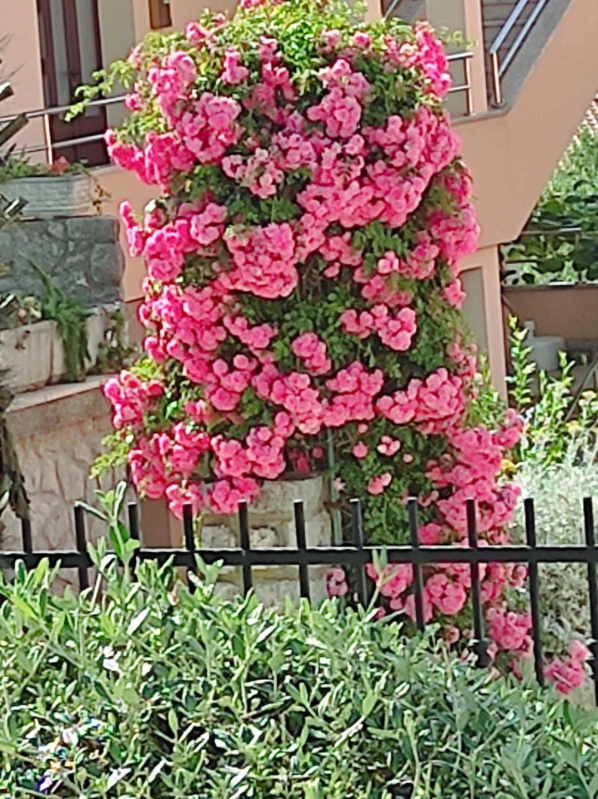 קרק Apartmani Paradiso מראה חיצוני תמונה